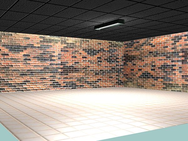 Room with Brick Walls