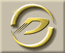 Digital Detection Systems large logo